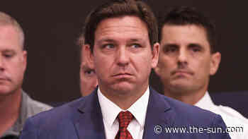 Ron DeSantis turns down The View after new hosts Alyssa Farah Griffin and Ana Navarro slammed... - The US Sun