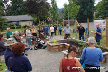 Central Saanich community garden grows into reality with recent opening - Victoria News