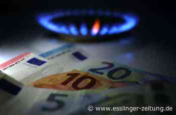 Blog zur Energiekrise im Kreis Esslingen - Gasverbrauch muss um 15 Prozent reduziert werden - esslinger-zeitung.de