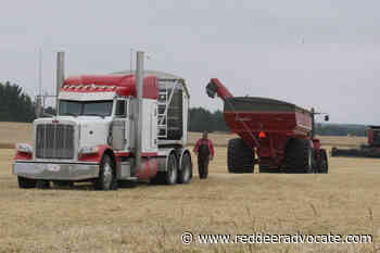 Federal fertilizer emission reduction targets unrealistic, say critics - Red Deer Advocate