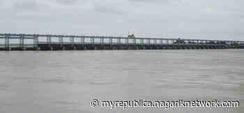 High alert in Koshi River as water level exceeds danger level, 29 gates of Koshi barrage opened to avert danger - Myrepublica