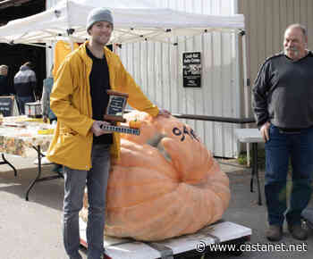 Get growing for the Great Pumpkin contest this fall in Armstrong - Vernon News - Castanet.net