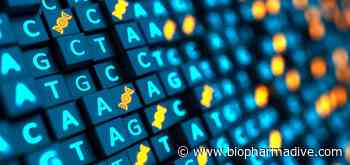 FDA halts testing of Beam's base editing cancer therapy - BioPharma Dive