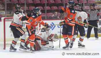 Soo Thunderbirds win NOJHL championship over the Hearst Lumberjacks - The Sault Star
