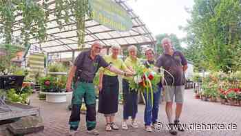 Stolzenau: Blumenhaus d'Apolonia schließt am 30. September - DIE HARKE
