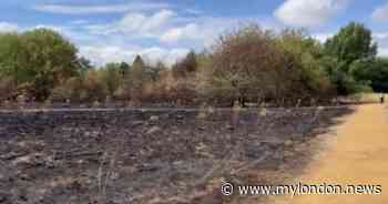 Horrific video shows Hounslow park totally devastated by massive fire - My London
