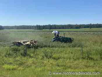 Recent weather tough on central Alberta farmers - Red Deer Advocate
