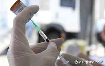 Prefeitura de Contagem amplia vacinação contra meningite C; veja onde receber a dose - Globo
