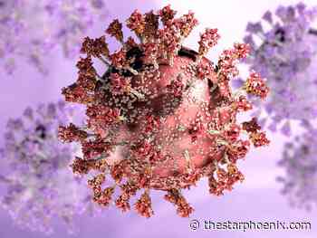 COVID-19: Saskatchewan wastewater shows viral load 'relatively low' - Saskatoon Star-Phoenix