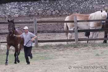 Previsite: nella prima giornata Viso d’Angelo, Remorex e Zio Frac - Siena News