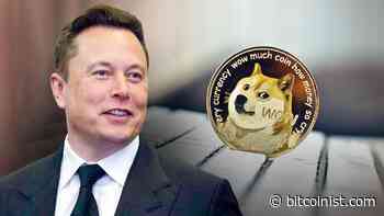 Dogecoin Is Elon Musk’s Favorite Cryptocurrency, Here’s Why | Bitcoinist.com - Bitcoinist