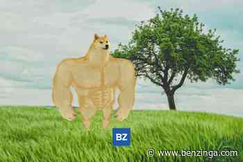 Cryptocurrency Dogecoin Up More Than 3% In 24 hours - Benzinga