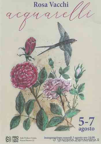 Mostra: ACQUARELLI di Rosa Vacchi @ Pro Loco - Crema • ViViCrema - Cremaonline