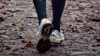 Jackson Hole Marathon set Sept. 24 - Local News 8 - LocalNews8.com