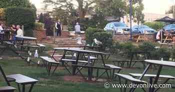 Exeter Wetherspoons fights seagull terror with shrieking alarm - Devon Live