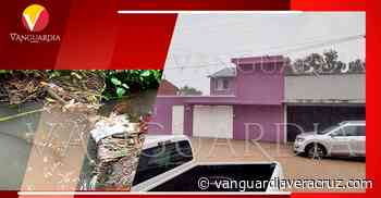 Aguas negras afectan a colonias de Coatepec - Vanguardia de Veracruz