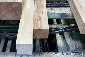 TU Kaiserslautern Forschungsprojekt Buchenholz - holzbau austria