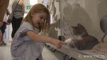 Calgary Humane Society unveils renovations while celebrating 100th anniversary