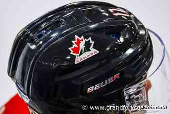 Hockey Canada’s board chair Michael Brind’Amour steps down - Grand Forks Gazette