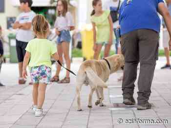 Dogs&Horses ad Avezzano per far conoscere lo straordinario mondo della cinofilia da soccorso in superficie e macerie - AZ Informa