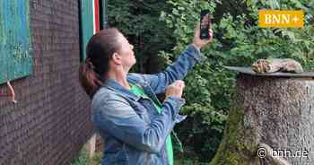 In Forbach-Hundsbach kommt das schnelle Internet im Schneckentempo - BNN - Badische Neueste Nachrichten