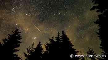 Best time to see the Perseids meteor shower could be this weekend