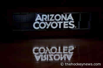 NHL Hot Seat Radar: Arizona Coyotes - The Hockey News