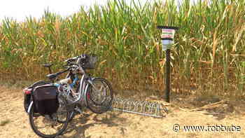 Gigantisch maïsdoolhof in Kortenberg: "Je bent gemiddeld 40 minuten binnen" - ROB-tv