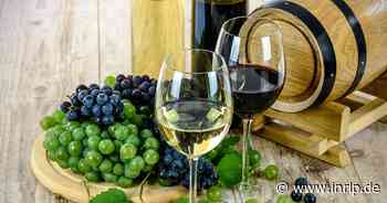 Die besten Weine aus der Pfalz: Diese Weingüter wurden ausgezeichnet - inRLP.de
