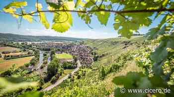 Advertorial - Württemberg: Tolle Landschaft, klasse Weine - Cicero Online