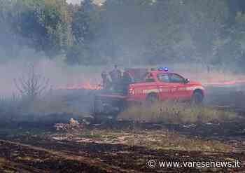 A fuoco un campo tra le case di Gazzada Schianno - varesenews.it