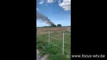Varkensstal in Ichtegem vat vuur - Focus en WTV