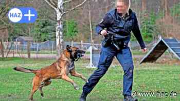 Instacop aus Hannover mit Neonazi liiert: Polizei sah erst kein Fehlverhalten - HAZ