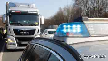 Nach Hitlergruß: Lkw-Fahrer onaniert vor der Polizei - BILD