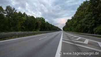 Großbrand nach Explosion auf Polizei-Sprengplatz: Feuer und Rauch auf rund 50 Hektar – Feuerwehr beginnt Löscharbeiten innerhalb des Sperrkreises - Tagesspiegel