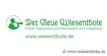 "Clean-up" mit "Forchheim for Future" - Der Neue Wiesentbote