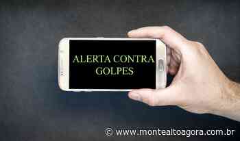 Procon de Monte Alto alerta sobre novo golpe por telefone - montealtoagora.com.br