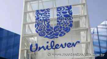 Unilever abre vagas de emprego; há oportunidade para Monte Alto - montealtoagora.com.br