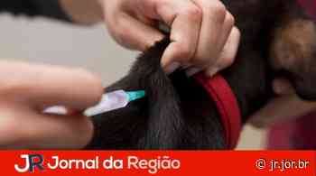 Itupeva promove vacinação antirrábica no Quilombo sábado (06) - JORNAL DA REGIÃO - JUNDIAÍ