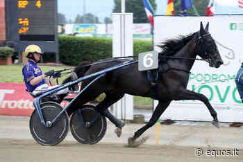 Marco Smorgon parla della condizione di Doyourbest in vista del Prix de Berlin – Equos - Equos