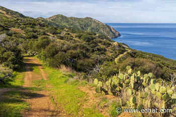 Catalina Island Conservancy: 50 Years of Island Stewardship - Santa Barbara Edhat