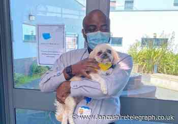 Blackpool mental health unit welcome therapy dog Minnie to team