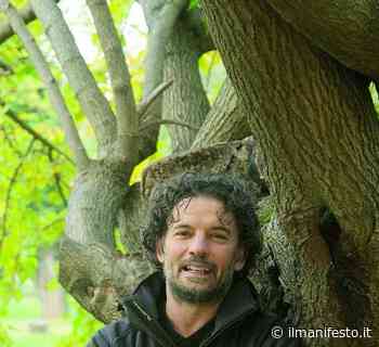 Tecla e la Regina, quando il miracolo è opera terrena - Il Manifesto