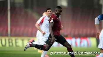 Salernitana, continua l'opera di sfoltimento della rosa - tuttosalernitana.com