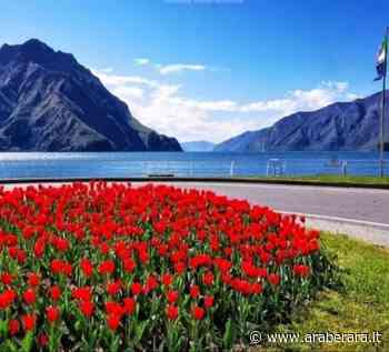 L'opera - La nuova Castro: un viaggio unico che unisce lo storico lungolago all'area feste - Araberara