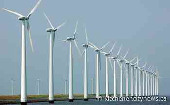 Controversial N.L. wind energy project needs more environmental scrutiny: government - Kitchener.CityNews.ca
