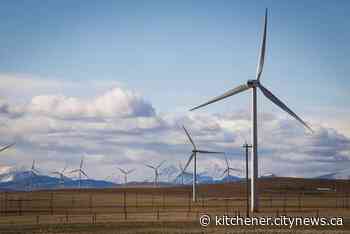 Power utility TransAlta reports $80 million loss in second quarter - Kitchener.CityNews.ca