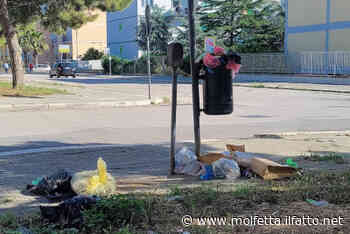 RIFIUTI, AUMENTA L'ABBANDONO INDISCRIMINATO IN CITTÀ. OPERATORE ASM: «OPERA DI POCHI INCIVILI» - Il Fatto di Molfetta