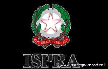 Parere dell'ISPRA sul calendario venatorio della Sardegna - Sardegna Reporter