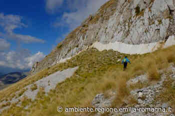Pericolosità sismica: pubblicate le linee guida ISPRA per l'uso del catalogo delle faglie capaci in Italia - Regione Emilia-Romagna — Ambiente
